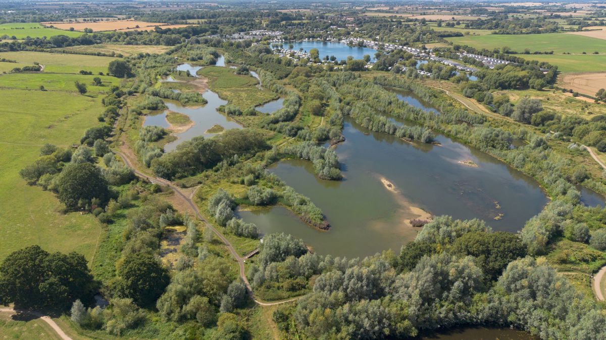 Drone shot of Floodplain Forest Nature Reserve