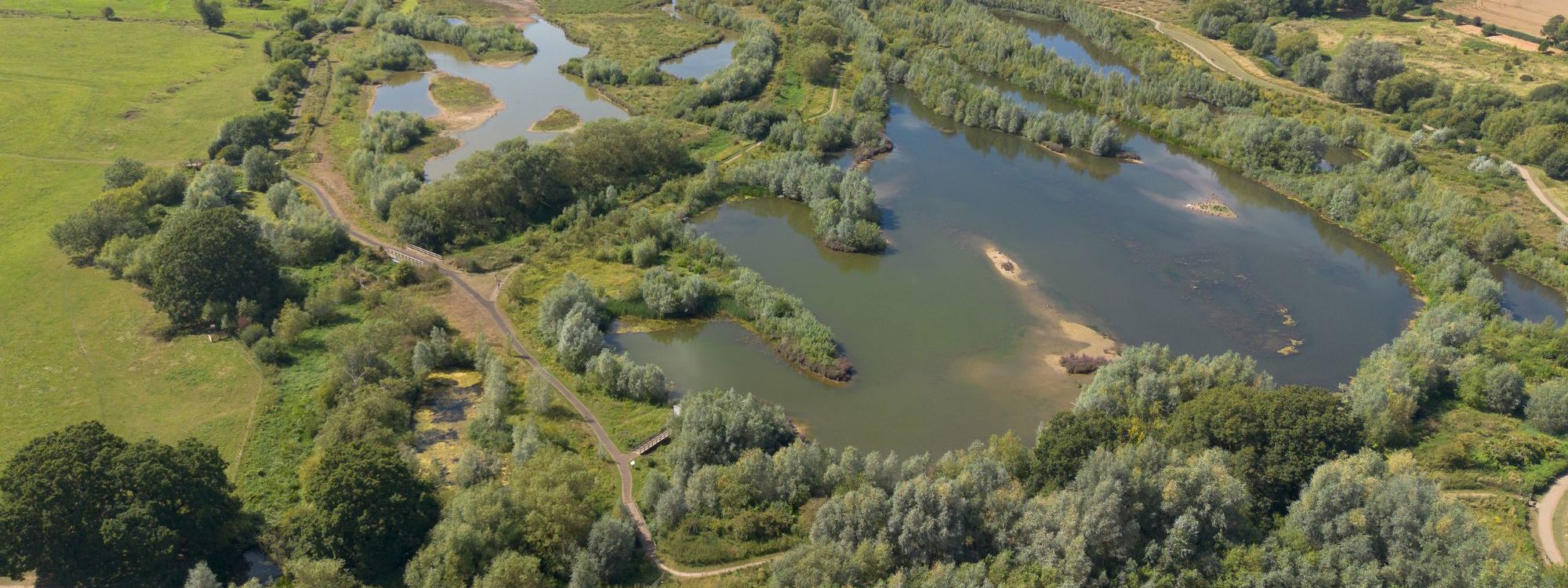 Drone shot of Floodplain Forest Nature Reserve