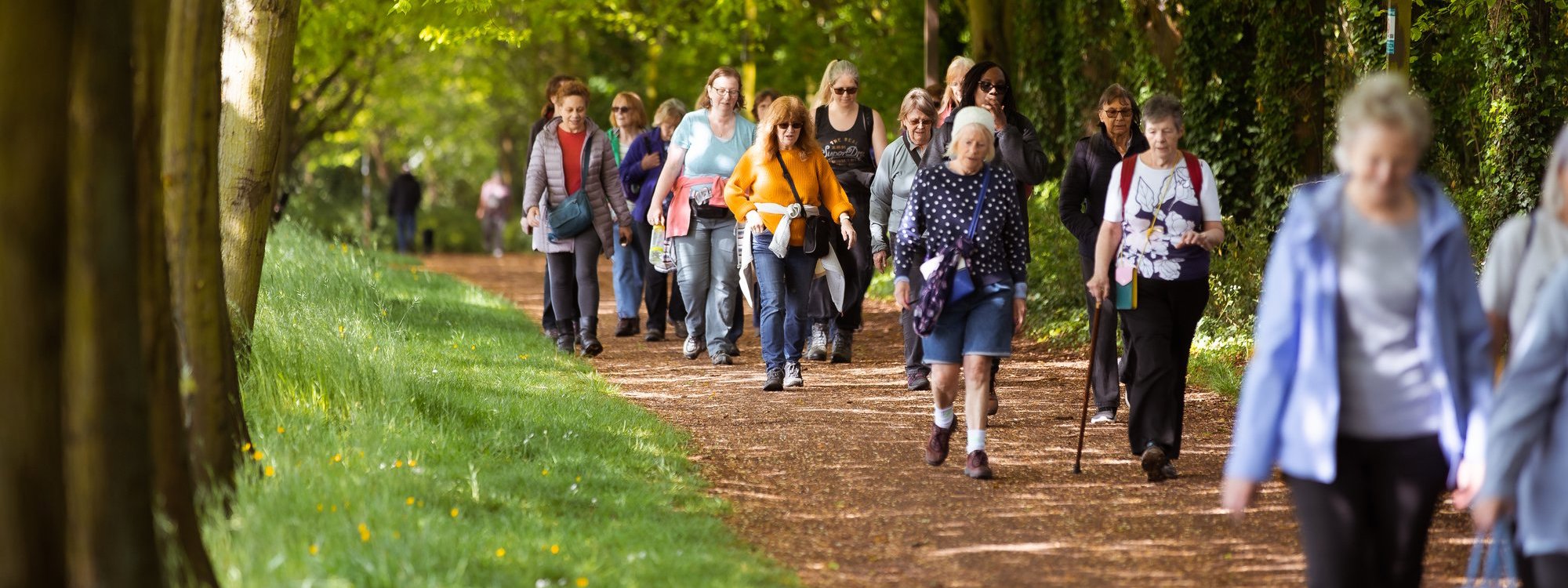 A group of women walking through parkland