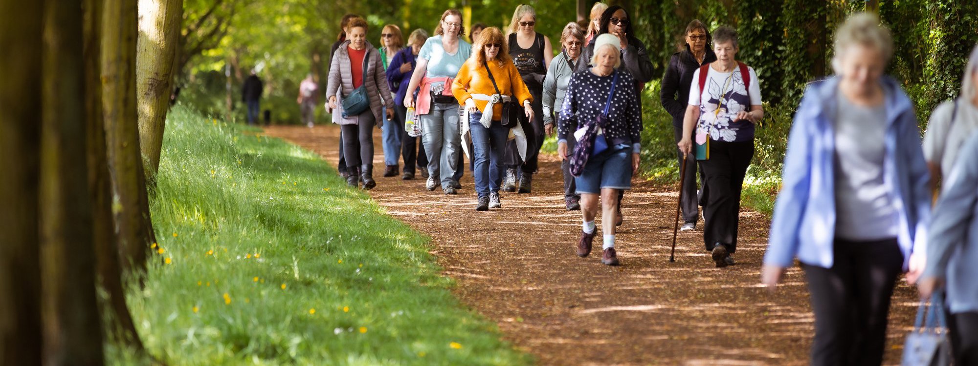 A group of women walking through parkland