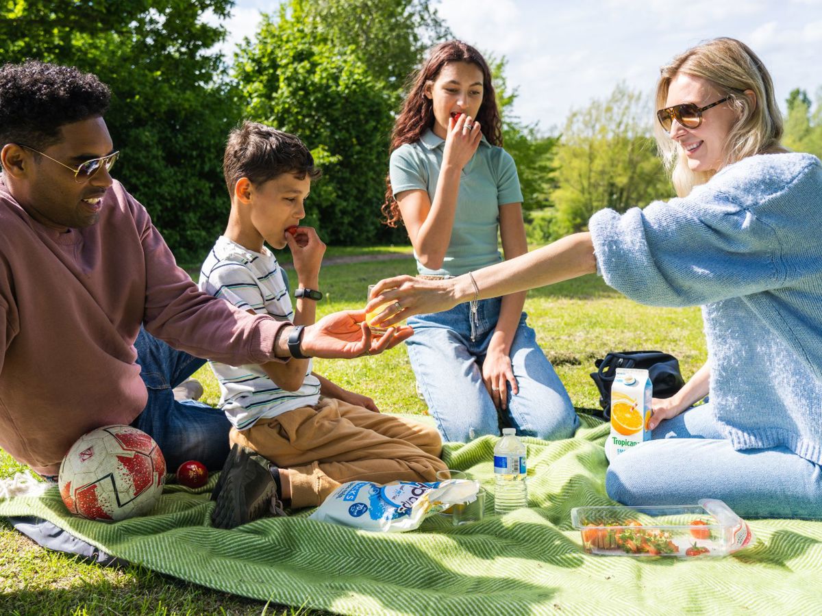 Family Having A Picnic In The Parks