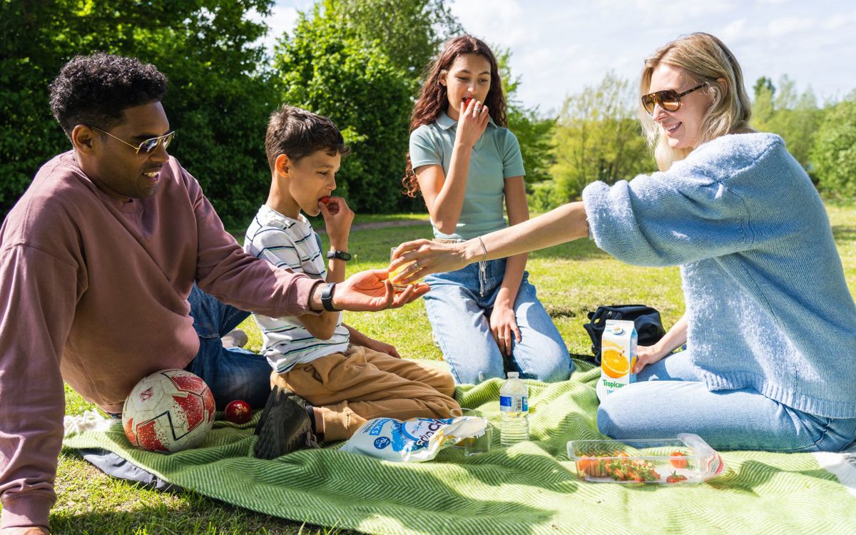 Family Having A Picnic In The Parks